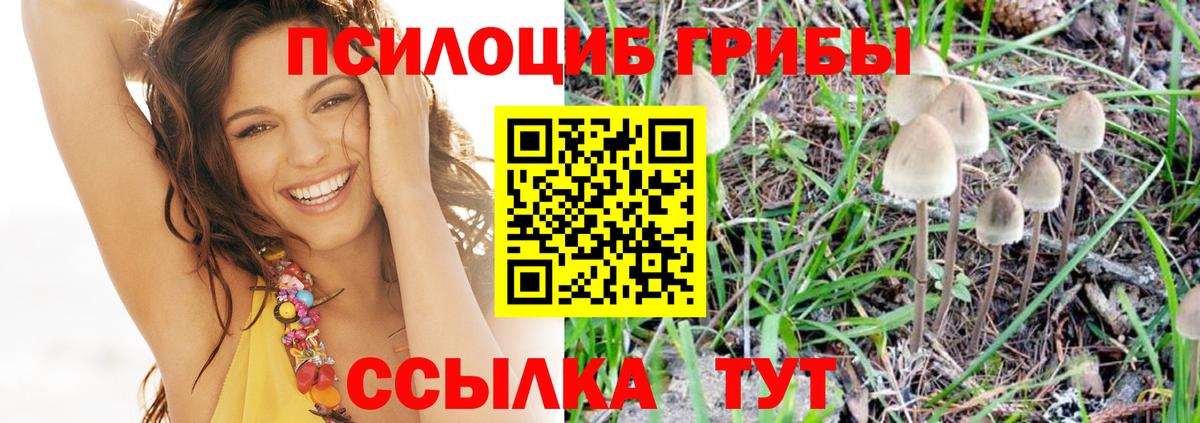 Лысьва  Галлюциногенные грибы мицелий  Вход с VPN 
