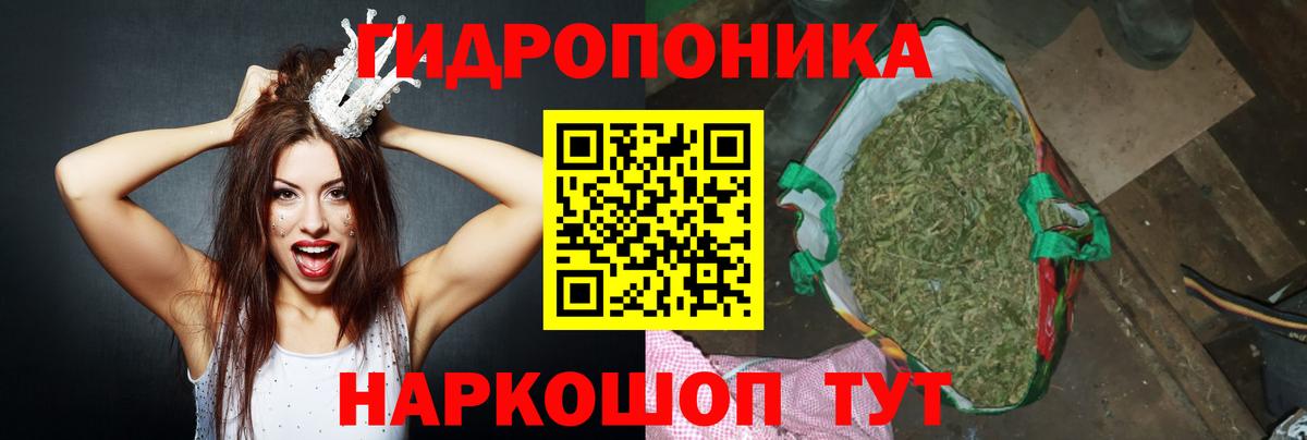 Каннабис White Widow  Каннабис White Widow  Лысьва  Вход с VPN  Конопля OG Kush 